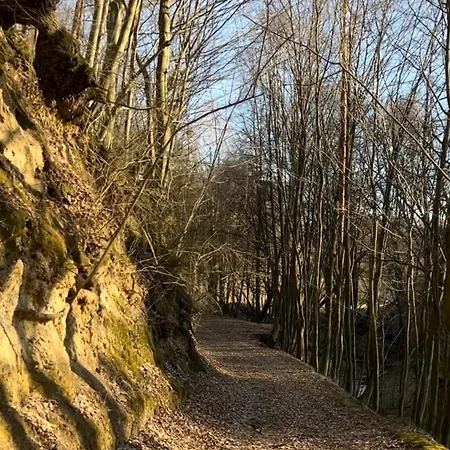 Kazimierskie Siedlisko Ferienhaus *
