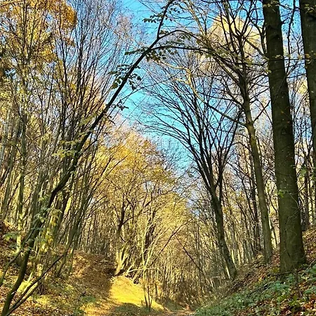 Ferienhaus Kazimierskie Siedlisko *