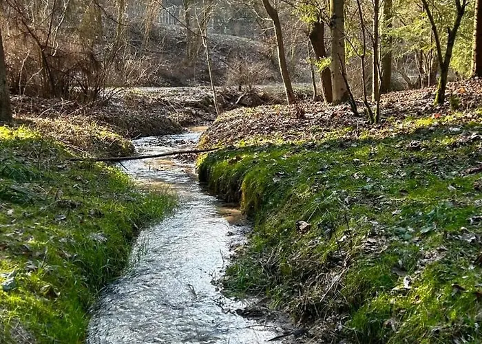 Kazimierskie Siedlisko * Kazimierz Dolny