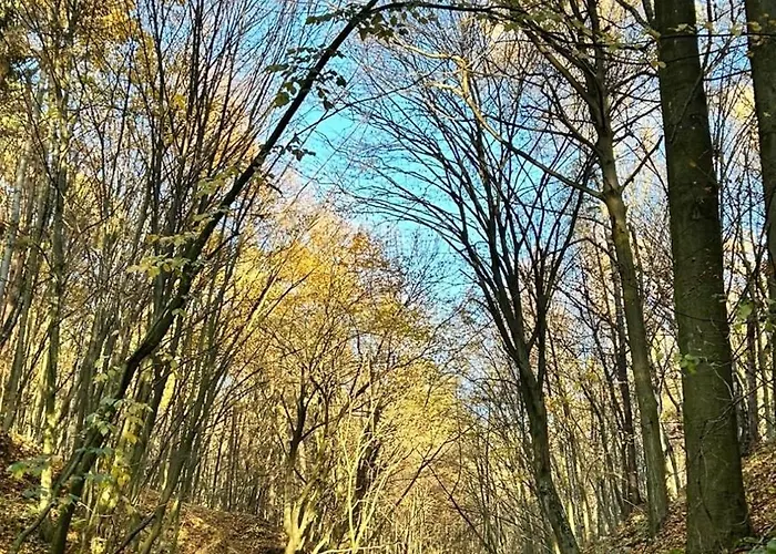 Semesterbostad Kazimierskie Siedlisko *